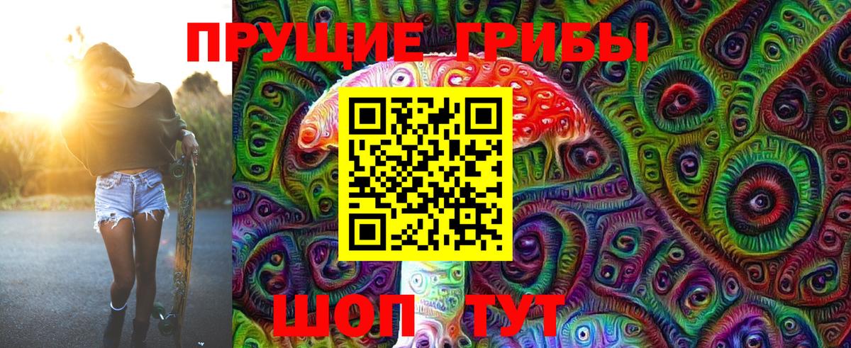 Черкесск  Галлюциногенные грибы Psilocybine cubensis  Вход с VPN  Галлюциногенные грибы MAGIC MUSHROOMS 